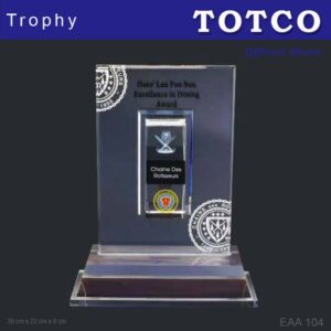 Custom Made Embedded Special Design Acrylic Award EAA 104