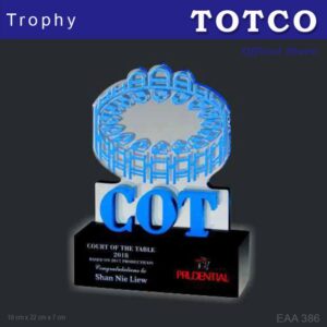 Custom Made Embedded Special Design Acrylic Award EAA 386