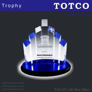 Custom Made Special Design Acrylic Award EAA 047 with Blue Effect