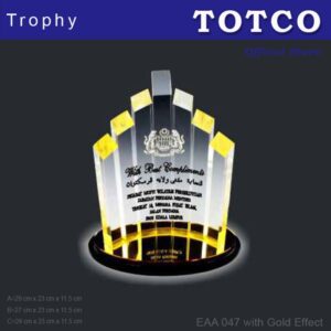 Custom Made Special Design Acrylic Award EAA 047 with Gold Effect