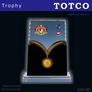 Custom Made Special Design Acrylic Award EAA 105