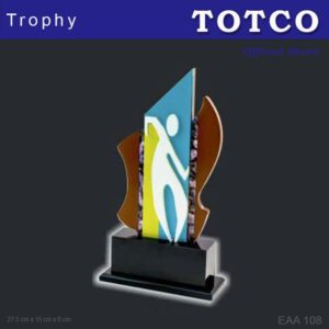 Custom Made Special Design Acrylic Award EAA 108