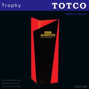 Customize Design Acrylic Award EAA 466