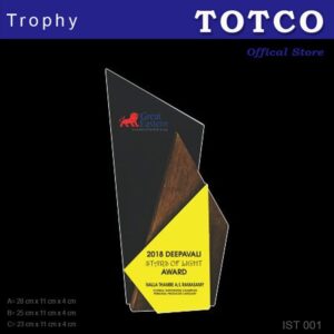 Exclusive Acrylic Wood Trophy IST 001