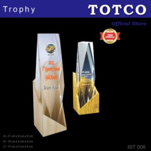 Exclusive Acrylic Wood Trophy IST 006