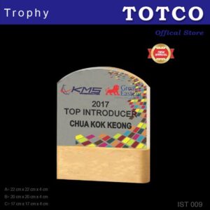 Exclusive Acrylic Wood Trophy IST 009