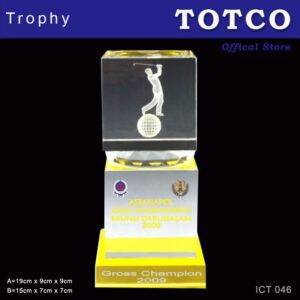Exclusive Crystal Trophy ICT 046