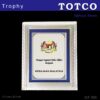 High Gloss Silver Frame for 3D & Brass Plaque ICF 005