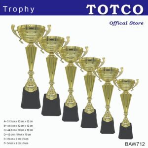 Metal Cup Trophy BAW712