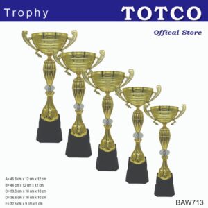 Metal Cup Trophy BAW713