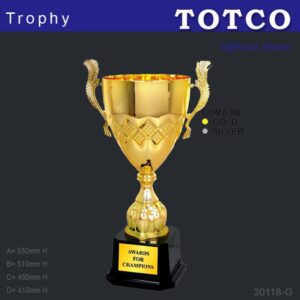 Metal Trophy 30118-G