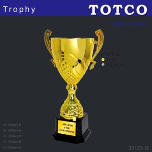 Metal Trophy 30123-G