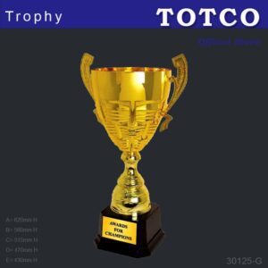 Metal Trophy 30125-G