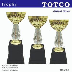 Plastic Trophy CT5001