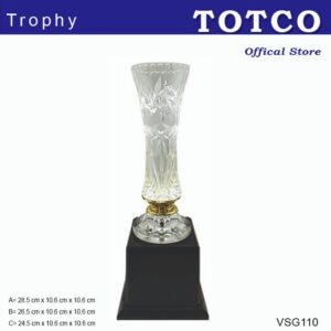 Plastic Trophy VSG110