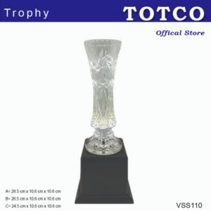 Plastic Trophy VSS110