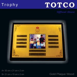 Special Design Gold Plaque With Wood Stand