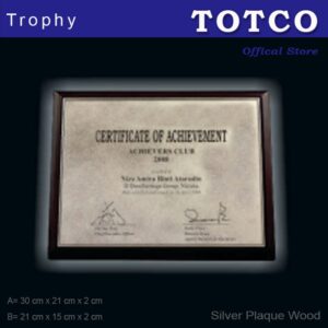 Special Design Silver Plaque With Wood Stand
